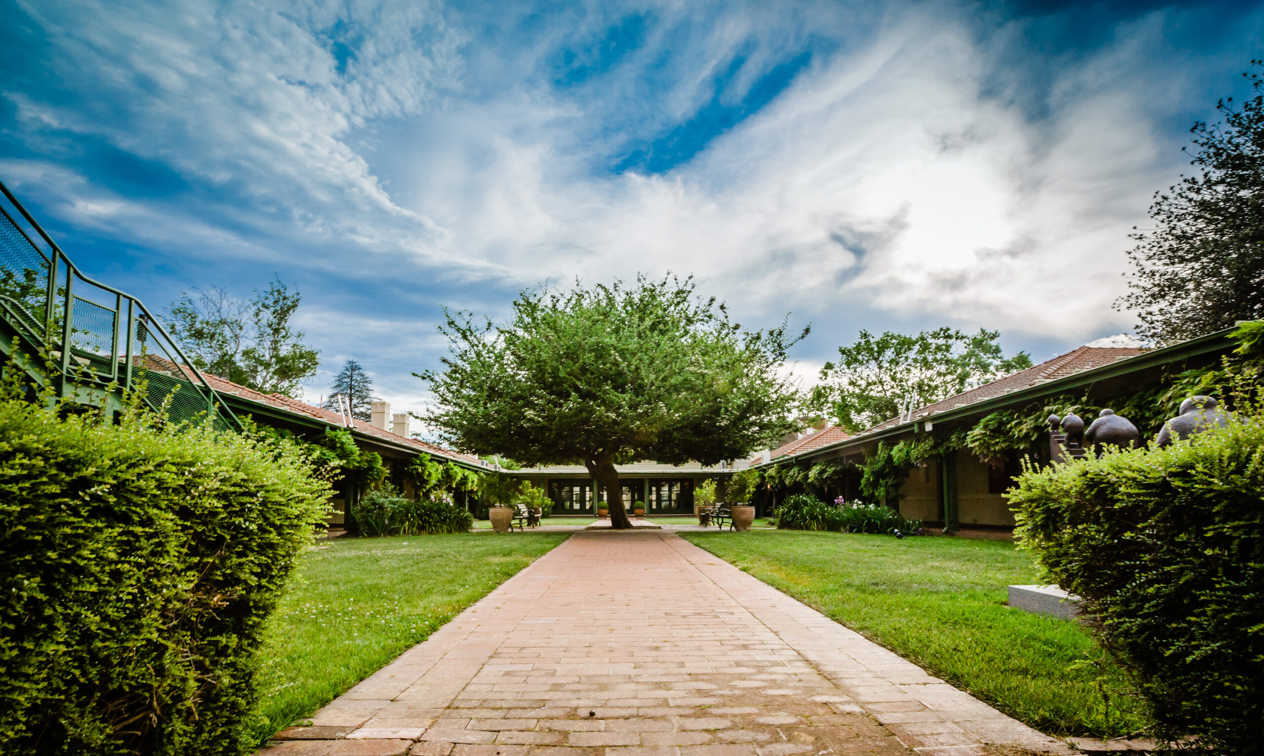 Photo of a courtyard with a large tree in the middle.