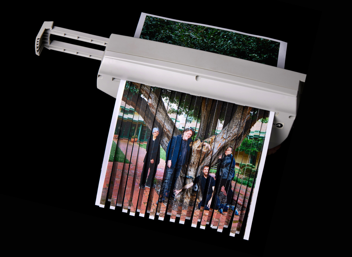 A photo is being threaded through paper shredder which shows a number of people standing in front of a large tree.