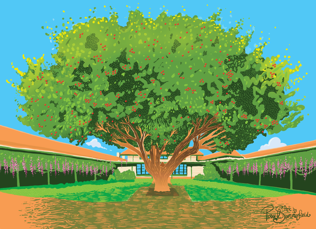 A digitally painted artwork of a heritage courtyard with a large red-berried hawthorn tree in the middle. blue sky above and the artists signature 'Paul Summerfield' in the lower right corner.