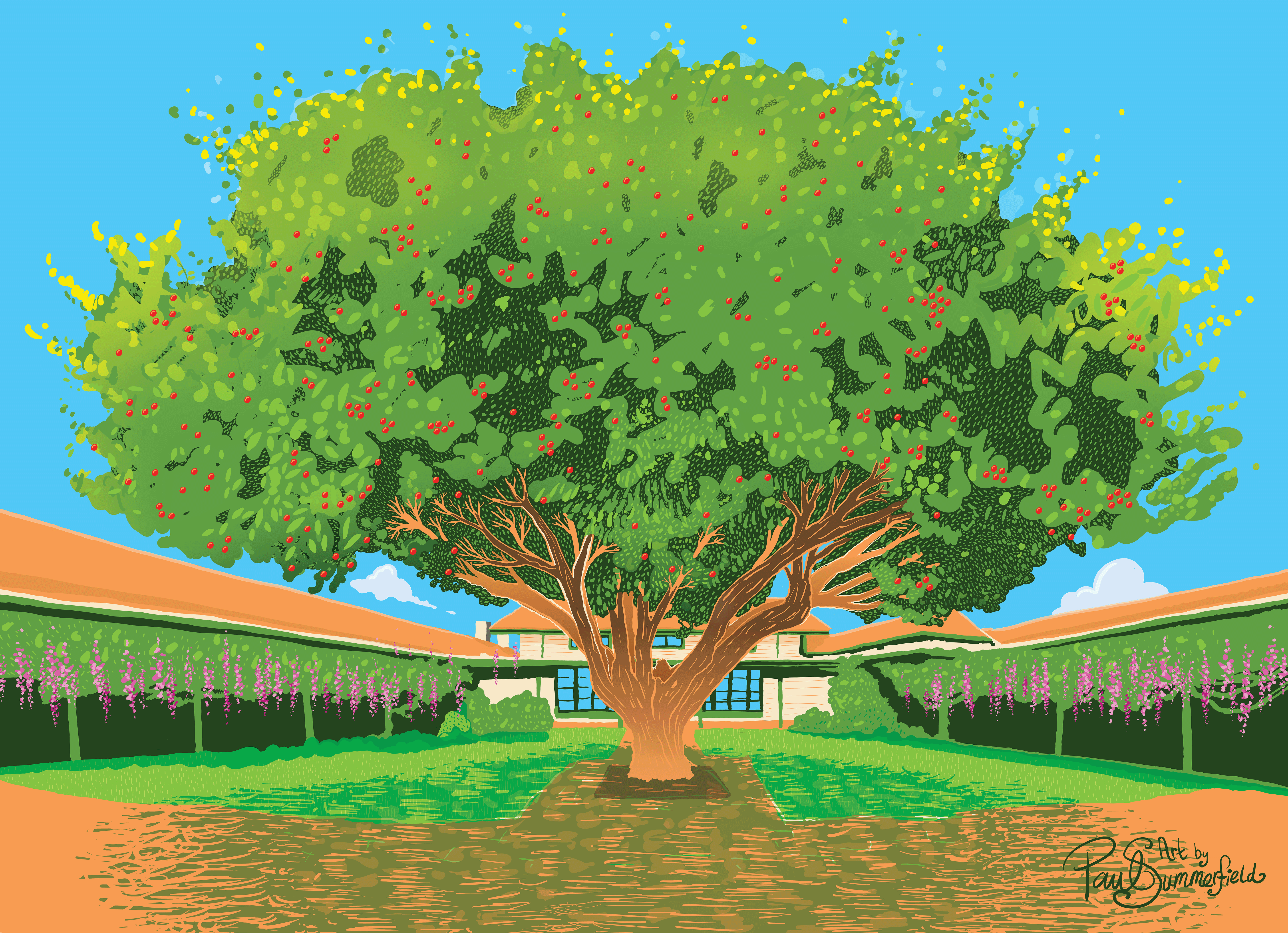 A digitally painted artwork of a heritage courtyard with a large red-berried hawthorn tree in the middle. blue sky above and the artists signature 'Paul Summerfield' in the lower right corner.