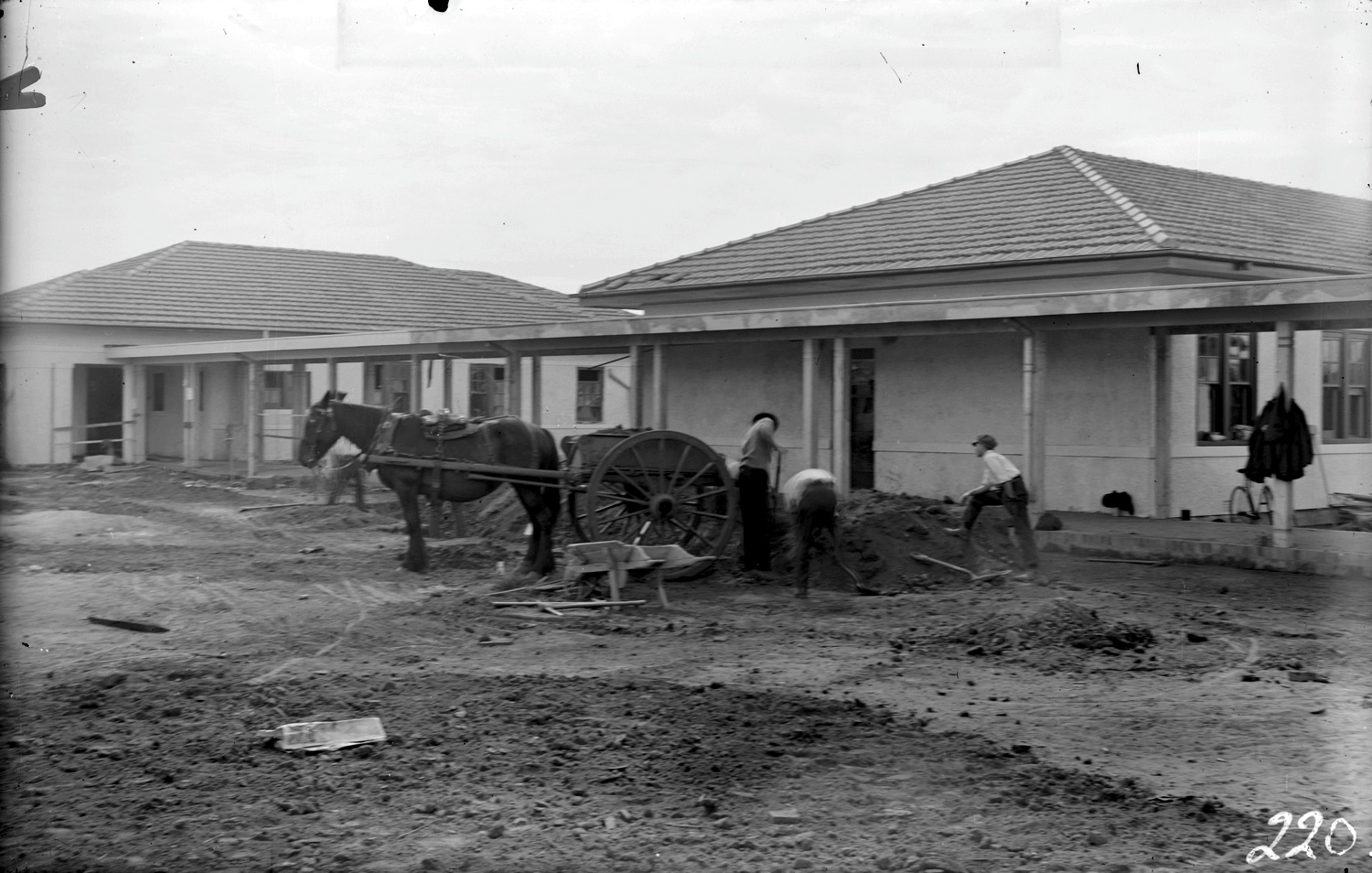A black and white glass plate image of a dark horse pulling construction supplies on site at Gorman House.