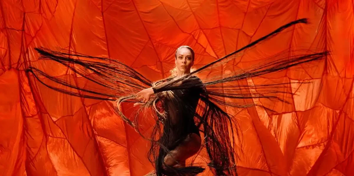 illume-bangarra-1722_r3_credit_daniel-boud – Ausdance ACT A dance dressed in black strikes a confident pose as black gauze-like wings spread out behind her. She is set against a silky orange backdrop.