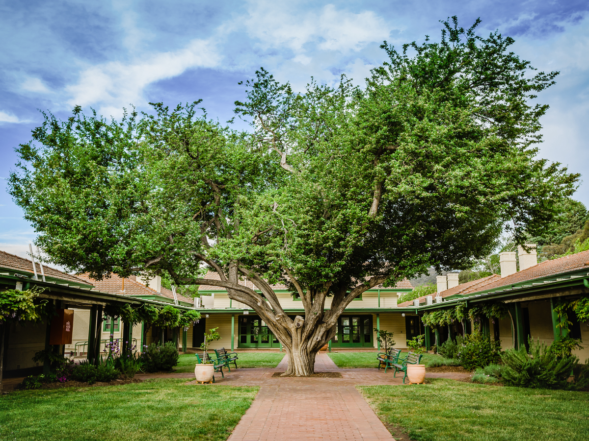 Gorman Courtyard Art Atelier Image credit: Art Atelier